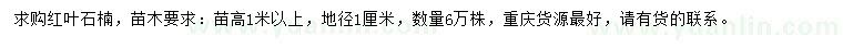 求購苗高1米以上紅葉石楠