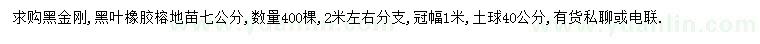 求購(gòu)7公分黑金剛、黑葉橡膠榕