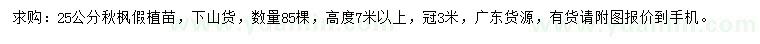 求購25公分秋楓