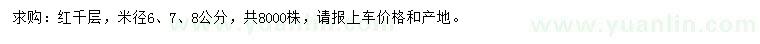 求購米徑6、7、8公分紅千層