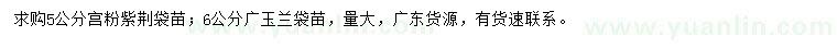 求購5公分宮粉紫荊、6公分廣玉蘭