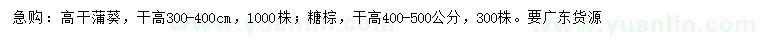 求購桿高300-400公分高桿蒲葵、400-500公分糖棕