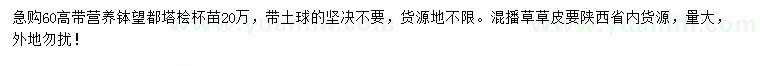 求購高60公分望都塔檜、混播草