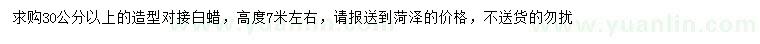 求購(gòu)30公分以上造型白蠟
