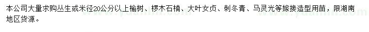 求購榆樹、欏木石楠、大葉女貞等
