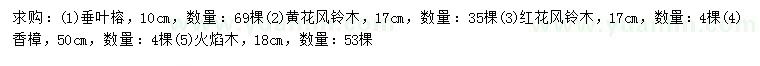 求購垂葉榕、黃花風(fēng)鈴木、紅花風(fēng)鈴木等