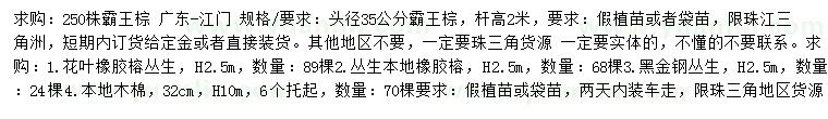 求購霸王棕、花葉橡膠榕、黑金鋼等