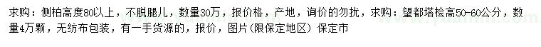 求購(gòu)高80公分以上側(cè)柏、50-60公分望都塔檜