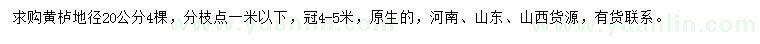 求購地徑20公分黃櫨