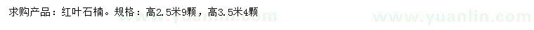 求購高2.5、3.5米紅葉石楠