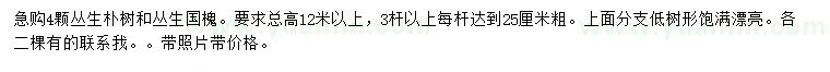 求購叢生樸樹、叢生國槐