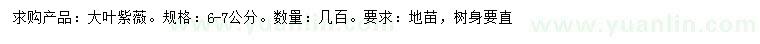 求購(gòu)6-7公分大葉紫薇