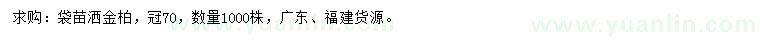 求購冠幅70公分灑金柏