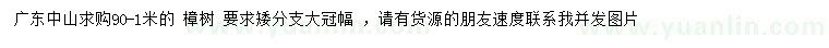 求購(gòu)90-1米樟樹