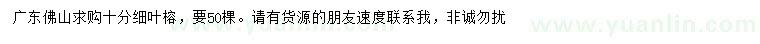 求購(gòu)10公分細(xì)葉榕