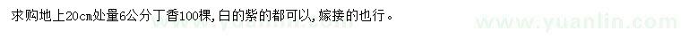 求購(gòu)20公分處量6公分丁香