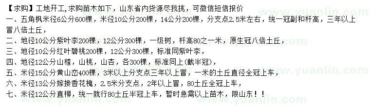 求購五角楓、紫葉李、紅葉碧桃等