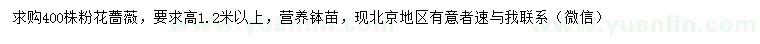 求購高1.2米以上粉花薔薇
