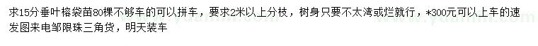 求購15公分垂葉榕