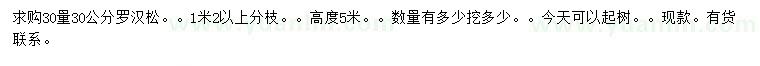 求購30量30公分羅漢松