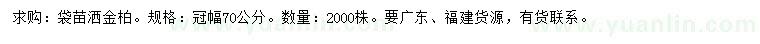 求購(gòu)冠幅70公分灑金柏