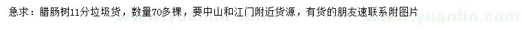求購11公分臘腸樹