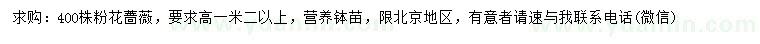 求購高1.2米以上粉花薔薇