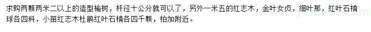 求購造型榆樹、紅志木、金葉女貞等