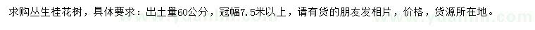 求購出土量60公分叢生桂花樹