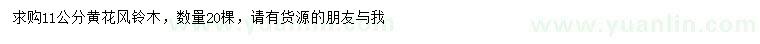 求購(gòu)11公分黃花風(fēng)鈴木