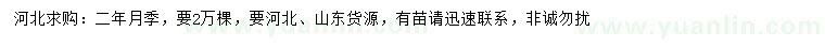 求購(gòu)月季