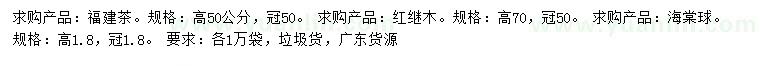 求購福建茶、紅繼木、海棠球