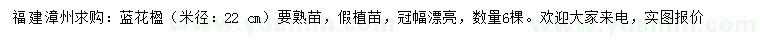 求購米徑22公分藍(lán)花楹