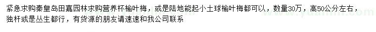 求購高50公分左右榆葉梅