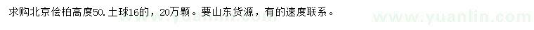 求購(gòu)高50公分北京檜柏