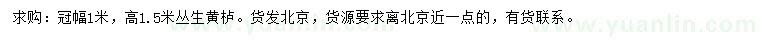 求購高1.5米叢生黃櫨