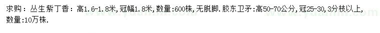 求購高1.6-1.8米叢生紫丁香、高50-70公分膠東衛(wèi)矛