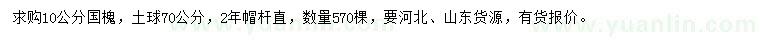 求購(gòu)10公分國(guó)槐