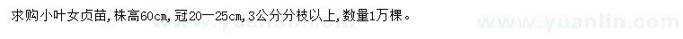 求購高60公分小葉女貞