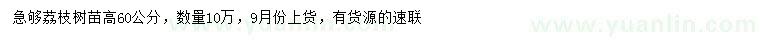 求購高60公分荔枝樹