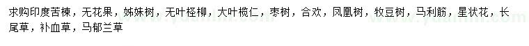 求購印度苦楝、無花果、姊妹樹等