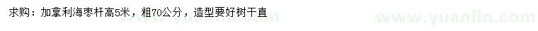 求購加拿利海棗