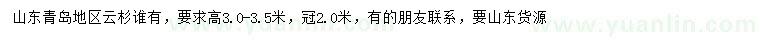 求購高3-3.5米云杉