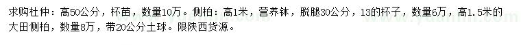 求購杜仲、側柏、大田側柏