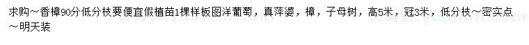 求購(gòu)90公分香樟