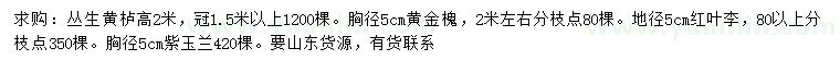 求購(gòu)叢生黃櫨、黃金槐、紅葉李等