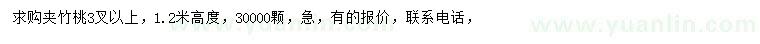求購(gòu)高度1.2米夾竹桃