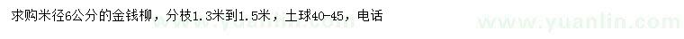 求購米徑6公分金錢柳