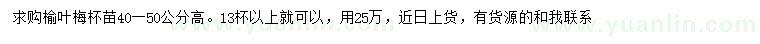 求購(gòu)高40-50公分榆葉梅