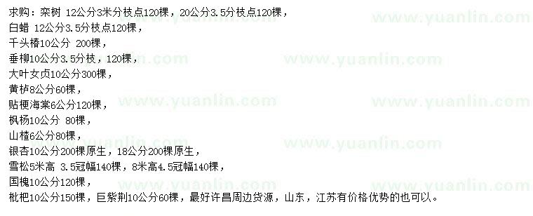 求購(gòu)欒樹、白蠟、千頭椿等